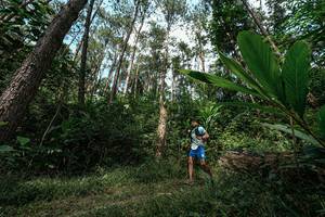 BIB: 
                            <button type="button" onclick="openModal(25226290)" class="btn btn-primary btn-sm float-right btn-popup" data-toggle="modal" data-target=".modal-high-quality">
                        <i class="fas fa-shopping-cart"></i> Add to Cart
                    </button>
                                            <button type="button" onclick="isThisMe(25226290, true)" class="btn btn-success btn-sm float-right btn-popup btn-isme hidden" data-toggle="tooltip" data-placement="bottom" title="นี่คือรูปของคุณใช่ไหม คลิกที่นี่เพื่อเอาเข้าอัลบั้ม">
                        <i class="fas fa-plus"></i> Add to album
                    </button>
                    <button type="button" onclick="isThisMe(25226290, false)" class="btn btn-warning btn-sm float-right btn-popup btn-isnotme hidden">
                        <i class="fas fa-ban"></i> Remove from album
                    </button>