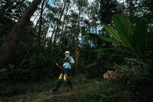 BIB: 
                            <button type="button" onclick="openModal(25227307)" class="btn btn-primary btn-sm float-right btn-popup" data-toggle="modal" data-target=".modal-high-quality">
                        <i class="fas fa-shopping-cart"></i> Add to Cart
                    </button>
                                            <button type="button" onclick="isThisMe(25227307, true)" class="btn btn-success btn-sm float-right btn-popup btn-isme hidden" data-toggle="tooltip" data-placement="bottom" title="นี่คือรูปของคุณใช่ไหม คลิกที่นี่เพื่อเอาเข้าอัลบั้ม">
                        <i class="fas fa-plus"></i> Add to album
                    </button>
                    <button type="button" onclick="isThisMe(25227307, false)" class="btn btn-warning btn-sm float-right btn-popup btn-isnotme hidden">
                        <i class="fas fa-ban"></i> Remove from album
                    </button>