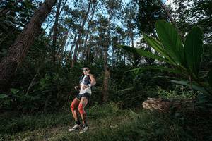 BIB: 
                            <button type="button" onclick="openModal(25226713)" class="btn btn-primary btn-sm float-right btn-popup" data-toggle="modal" data-target=".modal-high-quality">
                        <i class="fas fa-shopping-cart"></i> Add to Cart
                    </button>
                                            <button type="button" onclick="isThisMe(25226713, true)" class="btn btn-success btn-sm float-right btn-popup btn-isme hidden" data-toggle="tooltip" data-placement="bottom" title="นี่คือรูปของคุณใช่ไหม คลิกที่นี่เพื่อเอาเข้าอัลบั้ม">
                        <i class="fas fa-plus"></i> Add to album
                    </button>
                    <button type="button" onclick="isThisMe(25226713, false)" class="btn btn-warning btn-sm float-right btn-popup btn-isnotme hidden">
                        <i class="fas fa-ban"></i> Remove from album
                    </button>