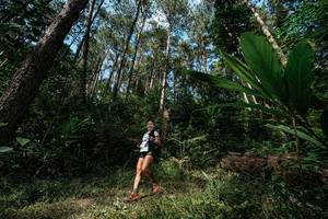 BIB: 
                            <button type="button" onclick="openModal(25226767)" class="btn btn-primary btn-sm float-right btn-popup" data-toggle="modal" data-target=".modal-high-quality">
                        <i class="fas fa-shopping-cart"></i> Add to Cart
                    </button>
                                            <button type="button" onclick="isThisMe(25226767, true)" class="btn btn-success btn-sm float-right btn-popup btn-isme hidden" data-toggle="tooltip" data-placement="bottom" title="นี่คือรูปของคุณใช่ไหม คลิกที่นี่เพื่อเอาเข้าอัลบั้ม">
                        <i class="fas fa-plus"></i> Add to album
                    </button>
                    <button type="button" onclick="isThisMe(25226767, false)" class="btn btn-warning btn-sm float-right btn-popup btn-isnotme hidden">
                        <i class="fas fa-ban"></i> Remove from album
                    </button>