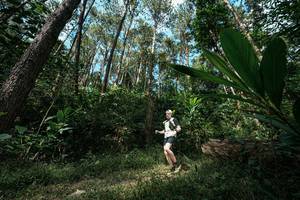 BIB: 
                            <button type="button" onclick="openModal(25226427)" class="btn btn-primary btn-sm float-right btn-popup" data-toggle="modal" data-target=".modal-high-quality">
                        <i class="fas fa-shopping-cart"></i> Add to Cart
                    </button>
                                            <button type="button" onclick="isThisMe(25226427, true)" class="btn btn-success btn-sm float-right btn-popup btn-isme hidden" data-toggle="tooltip" data-placement="bottom" title="นี่คือรูปของคุณใช่ไหม คลิกที่นี่เพื่อเอาเข้าอัลบั้ม">
                        <i class="fas fa-plus"></i> Add to album
                    </button>
                    <button type="button" onclick="isThisMe(25226427, false)" class="btn btn-warning btn-sm float-right btn-popup btn-isnotme hidden">
                        <i class="fas fa-ban"></i> Remove from album
                    </button>