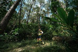 BIB: 
                            <button type="button" onclick="openModal(25226457)" class="btn btn-primary btn-sm float-right btn-popup" data-toggle="modal" data-target=".modal-high-quality">
                        <i class="fas fa-shopping-cart"></i> Add to Cart
                    </button>
                                            <button type="button" onclick="isThisMe(25226457, true)" class="btn btn-success btn-sm float-right btn-popup btn-isme hidden" data-toggle="tooltip" data-placement="bottom" title="นี่คือรูปของคุณใช่ไหม คลิกที่นี่เพื่อเอาเข้าอัลบั้ม">
                        <i class="fas fa-plus"></i> Add to album
                    </button>
                    <button type="button" onclick="isThisMe(25226457, false)" class="btn btn-warning btn-sm float-right btn-popup btn-isnotme hidden">
                        <i class="fas fa-ban"></i> Remove from album
                    </button>