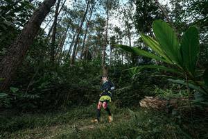 BIB: 
                            <button type="button" onclick="openModal(25226850)" class="btn btn-primary btn-sm float-right btn-popup" data-toggle="modal" data-target=".modal-high-quality">
                        <i class="fas fa-shopping-cart"></i> Add to Cart
                    </button>
                                            <button type="button" onclick="isThisMe(25226850, true)" class="btn btn-success btn-sm float-right btn-popup btn-isme hidden" data-toggle="tooltip" data-placement="bottom" title="นี่คือรูปของคุณใช่ไหม คลิกที่นี่เพื่อเอาเข้าอัลบั้ม">
                        <i class="fas fa-plus"></i> Add to album
                    </button>
                    <button type="button" onclick="isThisMe(25226850, false)" class="btn btn-warning btn-sm float-right btn-popup btn-isnotme hidden">
                        <i class="fas fa-ban"></i> Remove from album
                    </button>