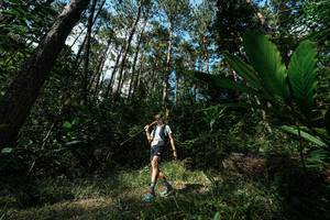 BIB: 
                            <button type="button" onclick="openModal(25227123)" class="btn btn-primary btn-sm float-right btn-popup" data-toggle="modal" data-target=".modal-high-quality">
                        <i class="fas fa-shopping-cart"></i> Add to Cart
                    </button>
                                            <button type="button" onclick="isThisMe(25227123, true)" class="btn btn-success btn-sm float-right btn-popup btn-isme hidden" data-toggle="tooltip" data-placement="bottom" title="นี่คือรูปของคุณใช่ไหม คลิกที่นี่เพื่อเอาเข้าอัลบั้ม">
                        <i class="fas fa-plus"></i> Add to album
                    </button>
                    <button type="button" onclick="isThisMe(25227123, false)" class="btn btn-warning btn-sm float-right btn-popup btn-isnotme hidden">
                        <i class="fas fa-ban"></i> Remove from album
                    </button>