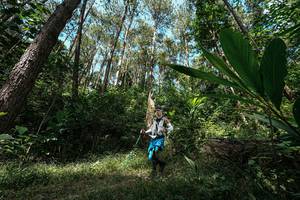 BIB: 
                            <button type="button" onclick="openModal(25226332)" class="btn btn-primary btn-sm float-right btn-popup" data-toggle="modal" data-target=".modal-high-quality">
                        <i class="fas fa-shopping-cart"></i> Add to Cart
                    </button>
                                            <button type="button" onclick="isThisMe(25226332, true)" class="btn btn-success btn-sm float-right btn-popup btn-isme hidden" data-toggle="tooltip" data-placement="bottom" title="นี่คือรูปของคุณใช่ไหม คลิกที่นี่เพื่อเอาเข้าอัลบั้ม">
                        <i class="fas fa-plus"></i> Add to album
                    </button>
                    <button type="button" onclick="isThisMe(25226332, false)" class="btn btn-warning btn-sm float-right btn-popup btn-isnotme hidden">
                        <i class="fas fa-ban"></i> Remove from album
                    </button>