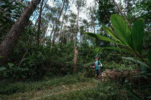 BIB: 
                            <button type="button" onclick="openModal(25226253)" class="btn btn-primary btn-sm float-right btn-popup" data-toggle="modal" data-target=".modal-high-quality">
                        <i class="fas fa-shopping-cart"></i> Add to Cart
                    </button>
                                            <button type="button" onclick="isThisMe(25226253, true)" class="btn btn-success btn-sm float-right btn-popup btn-isme hidden" data-toggle="tooltip" data-placement="bottom" title="นี่คือรูปของคุณใช่ไหม คลิกที่นี่เพื่อเอาเข้าอัลบั้ม">
                        <i class="fas fa-plus"></i> Add to album
                    </button>
                    <button type="button" onclick="isThisMe(25226253, false)" class="btn btn-warning btn-sm float-right btn-popup btn-isnotme hidden">
                        <i class="fas fa-ban"></i> Remove from album
                    </button>