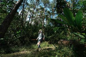 BIB: 
                            <button type="button" onclick="openModal(25227146)" class="btn btn-primary btn-sm float-right btn-popup" data-toggle="modal" data-target=".modal-high-quality">
                        <i class="fas fa-shopping-cart"></i> Add to Cart
                    </button>
                                            <button type="button" onclick="isThisMe(25227146, true)" class="btn btn-success btn-sm float-right btn-popup btn-isme hidden" data-toggle="tooltip" data-placement="bottom" title="นี่คือรูปของคุณใช่ไหม คลิกที่นี่เพื่อเอาเข้าอัลบั้ม">
                        <i class="fas fa-plus"></i> Add to album
                    </button>
                    <button type="button" onclick="isThisMe(25227146, false)" class="btn btn-warning btn-sm float-right btn-popup btn-isnotme hidden">
                        <i class="fas fa-ban"></i> Remove from album
                    </button>