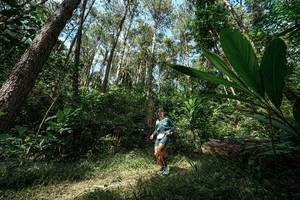 BIB: 
                            <button type="button" onclick="openModal(25226411)" class="btn btn-primary btn-sm float-right btn-popup" data-toggle="modal" data-target=".modal-high-quality">
                        <i class="fas fa-shopping-cart"></i> Add to Cart
                    </button>
                                            <button type="button" onclick="isThisMe(25226411, true)" class="btn btn-success btn-sm float-right btn-popup btn-isme hidden" data-toggle="tooltip" data-placement="bottom" title="นี่คือรูปของคุณใช่ไหม คลิกที่นี่เพื่อเอาเข้าอัลบั้ม">
                        <i class="fas fa-plus"></i> Add to album
                    </button>
                    <button type="button" onclick="isThisMe(25226411, false)" class="btn btn-warning btn-sm float-right btn-popup btn-isnotme hidden">
                        <i class="fas fa-ban"></i> Remove from album
                    </button>