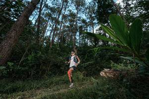 BIB: 
                            <button type="button" onclick="openModal(25226710)" class="btn btn-primary btn-sm float-right btn-popup" data-toggle="modal" data-target=".modal-high-quality">
                        <i class="fas fa-shopping-cart"></i> Add to Cart
                    </button>
                                            <button type="button" onclick="isThisMe(25226710, true)" class="btn btn-success btn-sm float-right btn-popup btn-isme hidden" data-toggle="tooltip" data-placement="bottom" title="นี่คือรูปของคุณใช่ไหม คลิกที่นี่เพื่อเอาเข้าอัลบั้ม">
                        <i class="fas fa-plus"></i> Add to album
                    </button>
                    <button type="button" onclick="isThisMe(25226710, false)" class="btn btn-warning btn-sm float-right btn-popup btn-isnotme hidden">
                        <i class="fas fa-ban"></i> Remove from album
                    </button>