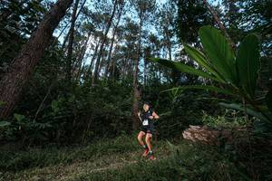 BIB: 
                            <button type="button" onclick="openModal(25226510)" class="btn btn-primary btn-sm float-right btn-popup" data-toggle="modal" data-target=".modal-high-quality">
                        <i class="fas fa-shopping-cart"></i> Add to Cart
                    </button>
                                            <button type="button" onclick="isThisMe(25226510, true)" class="btn btn-success btn-sm float-right btn-popup btn-isme hidden" data-toggle="tooltip" data-placement="bottom" title="นี่คือรูปของคุณใช่ไหม คลิกที่นี่เพื่อเอาเข้าอัลบั้ม">
                        <i class="fas fa-plus"></i> Add to album
                    </button>
                    <button type="button" onclick="isThisMe(25226510, false)" class="btn btn-warning btn-sm float-right btn-popup btn-isnotme hidden">
                        <i class="fas fa-ban"></i> Remove from album
                    </button>