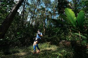 BIB: 
                            <button type="button" onclick="openModal(25227113)" class="btn btn-primary btn-sm float-right btn-popup" data-toggle="modal" data-target=".modal-high-quality">
                        <i class="fas fa-shopping-cart"></i> Add to Cart
                    </button>
                                            <button type="button" onclick="isThisMe(25227113, true)" class="btn btn-success btn-sm float-right btn-popup btn-isme hidden" data-toggle="tooltip" data-placement="bottom" title="นี่คือรูปของคุณใช่ไหม คลิกที่นี่เพื่อเอาเข้าอัลบั้ม">
                        <i class="fas fa-plus"></i> Add to album
                    </button>
                    <button type="button" onclick="isThisMe(25227113, false)" class="btn btn-warning btn-sm float-right btn-popup btn-isnotme hidden">
                        <i class="fas fa-ban"></i> Remove from album
                    </button>