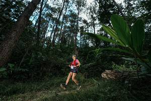 BIB: 
                            <button type="button" onclick="openModal(25226893)" class="btn btn-primary btn-sm float-right btn-popup" data-toggle="modal" data-target=".modal-high-quality">
                        <i class="fas fa-shopping-cart"></i> Add to Cart
                    </button>
                                            <button type="button" onclick="isThisMe(25226893, true)" class="btn btn-success btn-sm float-right btn-popup btn-isme hidden" data-toggle="tooltip" data-placement="bottom" title="นี่คือรูปของคุณใช่ไหม คลิกที่นี่เพื่อเอาเข้าอัลบั้ม">
                        <i class="fas fa-plus"></i> Add to album
                    </button>
                    <button type="button" onclick="isThisMe(25226893, false)" class="btn btn-warning btn-sm float-right btn-popup btn-isnotme hidden">
                        <i class="fas fa-ban"></i> Remove from album
                    </button>