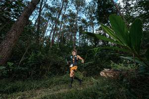 BIB: 
                            <button type="button" onclick="openModal(25226714)" class="btn btn-primary btn-sm float-right btn-popup" data-toggle="modal" data-target=".modal-high-quality">
                        <i class="fas fa-shopping-cart"></i> Add to Cart
                    </button>
                                            <button type="button" onclick="isThisMe(25226714, true)" class="btn btn-success btn-sm float-right btn-popup btn-isme hidden" data-toggle="tooltip" data-placement="bottom" title="นี่คือรูปของคุณใช่ไหม คลิกที่นี่เพื่อเอาเข้าอัลบั้ม">
                        <i class="fas fa-plus"></i> Add to album
                    </button>
                    <button type="button" onclick="isThisMe(25226714, false)" class="btn btn-warning btn-sm float-right btn-popup btn-isnotme hidden">
                        <i class="fas fa-ban"></i> Remove from album
                    </button>