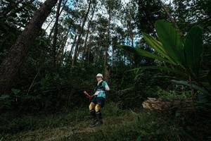 BIB: 
                            <button type="button" onclick="openModal(25227306)" class="btn btn-primary btn-sm float-right btn-popup" data-toggle="modal" data-target=".modal-high-quality">
                        <i class="fas fa-shopping-cart"></i> Add to Cart
                    </button>
                                            <button type="button" onclick="isThisMe(25227306, true)" class="btn btn-success btn-sm float-right btn-popup btn-isme hidden" data-toggle="tooltip" data-placement="bottom" title="นี่คือรูปของคุณใช่ไหม คลิกที่นี่เพื่อเอาเข้าอัลบั้ม">
                        <i class="fas fa-plus"></i> Add to album
                    </button>
                    <button type="button" onclick="isThisMe(25227306, false)" class="btn btn-warning btn-sm float-right btn-popup btn-isnotme hidden">
                        <i class="fas fa-ban"></i> Remove from album
                    </button>