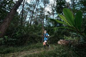 BIB: 
                            <button type="button" onclick="openModal(25226629)" class="btn btn-primary btn-sm float-right btn-popup" data-toggle="modal" data-target=".modal-high-quality">
                        <i class="fas fa-shopping-cart"></i> Add to Cart
                    </button>
                                            <button type="button" onclick="isThisMe(25226629, true)" class="btn btn-success btn-sm float-right btn-popup btn-isme hidden" data-toggle="tooltip" data-placement="bottom" title="นี่คือรูปของคุณใช่ไหม คลิกที่นี่เพื่อเอาเข้าอัลบั้ม">
                        <i class="fas fa-plus"></i> Add to album
                    </button>
                    <button type="button" onclick="isThisMe(25226629, false)" class="btn btn-warning btn-sm float-right btn-popup btn-isnotme hidden">
                        <i class="fas fa-ban"></i> Remove from album
                    </button>