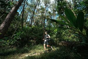 BIB: 
                            <button type="button" onclick="openModal(25226418)" class="btn btn-primary btn-sm float-right btn-popup" data-toggle="modal" data-target=".modal-high-quality">
                        <i class="fas fa-shopping-cart"></i> Add to Cart
                    </button>
                                            <button type="button" onclick="isThisMe(25226418, true)" class="btn btn-success btn-sm float-right btn-popup btn-isme hidden" data-toggle="tooltip" data-placement="bottom" title="นี่คือรูปของคุณใช่ไหม คลิกที่นี่เพื่อเอาเข้าอัลบั้ม">
                        <i class="fas fa-plus"></i> Add to album
                    </button>
                    <button type="button" onclick="isThisMe(25226418, false)" class="btn btn-warning btn-sm float-right btn-popup btn-isnotme hidden">
                        <i class="fas fa-ban"></i> Remove from album
                    </button>