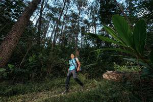 BIB: 
                            <button type="button" onclick="openModal(25226502)" class="btn btn-primary btn-sm float-right btn-popup" data-toggle="modal" data-target=".modal-high-quality">
                        <i class="fas fa-shopping-cart"></i> Add to Cart
                    </button>
                                            <button type="button" onclick="isThisMe(25226502, true)" class="btn btn-success btn-sm float-right btn-popup btn-isme hidden" data-toggle="tooltip" data-placement="bottom" title="นี่คือรูปของคุณใช่ไหม คลิกที่นี่เพื่อเอาเข้าอัลบั้ม">
                        <i class="fas fa-plus"></i> Add to album
                    </button>
                    <button type="button" onclick="isThisMe(25226502, false)" class="btn btn-warning btn-sm float-right btn-popup btn-isnotme hidden">
                        <i class="fas fa-ban"></i> Remove from album
                    </button>