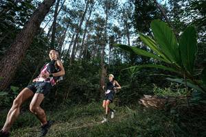 BIB: 
                            <button type="button" onclick="openModal(25226584)" class="btn btn-primary btn-sm float-right btn-popup" data-toggle="modal" data-target=".modal-high-quality">
                        <i class="fas fa-shopping-cart"></i> Add to Cart
                    </button>
                                            <button type="button" onclick="isThisMe(25226584, true)" class="btn btn-success btn-sm float-right btn-popup btn-isme hidden" data-toggle="tooltip" data-placement="bottom" title="นี่คือรูปของคุณใช่ไหม คลิกที่นี่เพื่อเอาเข้าอัลบั้ม">
                        <i class="fas fa-plus"></i> Add to album
                    </button>
                    <button type="button" onclick="isThisMe(25226584, false)" class="btn btn-warning btn-sm float-right btn-popup btn-isnotme hidden">
                        <i class="fas fa-ban"></i> Remove from album
                    </button>