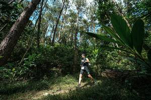 BIB: 
                            <button type="button" onclick="openModal(25226419)" class="btn btn-primary btn-sm float-right btn-popup" data-toggle="modal" data-target=".modal-high-quality">
                        <i class="fas fa-shopping-cart"></i> Add to Cart
                    </button>
                                            <button type="button" onclick="isThisMe(25226419, true)" class="btn btn-success btn-sm float-right btn-popup btn-isme hidden" data-toggle="tooltip" data-placement="bottom" title="นี่คือรูปของคุณใช่ไหม คลิกที่นี่เพื่อเอาเข้าอัลบั้ม">
                        <i class="fas fa-plus"></i> Add to album
                    </button>
                    <button type="button" onclick="isThisMe(25226419, false)" class="btn btn-warning btn-sm float-right btn-popup btn-isnotme hidden">
                        <i class="fas fa-ban"></i> Remove from album
                    </button>