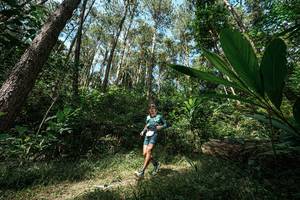 BIB: 
                            <button type="button" onclick="openModal(25226412)" class="btn btn-primary btn-sm float-right btn-popup" data-toggle="modal" data-target=".modal-high-quality">
                        <i class="fas fa-shopping-cart"></i> Add to Cart
                    </button>
                                            <button type="button" onclick="isThisMe(25226412, true)" class="btn btn-success btn-sm float-right btn-popup btn-isme hidden" data-toggle="tooltip" data-placement="bottom" title="นี่คือรูปของคุณใช่ไหม คลิกที่นี่เพื่อเอาเข้าอัลบั้ม">
                        <i class="fas fa-plus"></i> Add to album
                    </button>
                    <button type="button" onclick="isThisMe(25226412, false)" class="btn btn-warning btn-sm float-right btn-popup btn-isnotme hidden">
                        <i class="fas fa-ban"></i> Remove from album
                    </button>