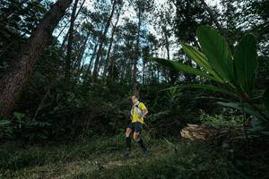 BIB: 
                            <button type="button" onclick="openModal(25226904)" class="btn btn-primary btn-sm float-right btn-popup" data-toggle="modal" data-target=".modal-high-quality">
                        <i class="fas fa-shopping-cart"></i> Add to Cart
                    </button>
                                            <button type="button" onclick="isThisMe(25226904, true)" class="btn btn-success btn-sm float-right btn-popup btn-isme hidden" data-toggle="tooltip" data-placement="bottom" title="นี่คือรูปของคุณใช่ไหม คลิกที่นี่เพื่อเอาเข้าอัลบั้ม">
                        <i class="fas fa-plus"></i> Add to album
                    </button>
                    <button type="button" onclick="isThisMe(25226904, false)" class="btn btn-warning btn-sm float-right btn-popup btn-isnotme hidden">
                        <i class="fas fa-ban"></i> Remove from album
                    </button>