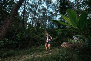 BIB: 
                            <button type="button" onclick="openModal(25226963)" class="btn btn-primary btn-sm float-right btn-popup" data-toggle="modal" data-target=".modal-high-quality">
                        <i class="fas fa-shopping-cart"></i> Add to Cart
                    </button>
                                            <button type="button" onclick="isThisMe(25226963, true)" class="btn btn-success btn-sm float-right btn-popup btn-isme hidden" data-toggle="tooltip" data-placement="bottom" title="นี่คือรูปของคุณใช่ไหม คลิกที่นี่เพื่อเอาเข้าอัลบั้ม">
                        <i class="fas fa-plus"></i> Add to album
                    </button>
                    <button type="button" onclick="isThisMe(25226963, false)" class="btn btn-warning btn-sm float-right btn-popup btn-isnotme hidden">
                        <i class="fas fa-ban"></i> Remove from album
                    </button>