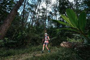 BIB: 
                            <button type="button" onclick="openModal(25227085)" class="btn btn-primary btn-sm float-right btn-popup" data-toggle="modal" data-target=".modal-high-quality">
                        <i class="fas fa-shopping-cart"></i> Add to Cart
                    </button>
                                            <button type="button" onclick="isThisMe(25227085, true)" class="btn btn-success btn-sm float-right btn-popup btn-isme hidden" data-toggle="tooltip" data-placement="bottom" title="นี่คือรูปของคุณใช่ไหม คลิกที่นี่เพื่อเอาเข้าอัลบั้ม">
                        <i class="fas fa-plus"></i> Add to album
                    </button>
                    <button type="button" onclick="isThisMe(25227085, false)" class="btn btn-warning btn-sm float-right btn-popup btn-isnotme hidden">
                        <i class="fas fa-ban"></i> Remove from album
                    </button>