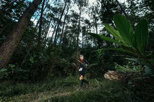 BIB: 
                            <button type="button" onclick="openModal(25227894)" class="btn btn-primary btn-sm float-right btn-popup" data-toggle="modal" data-target=".modal-high-quality">
                        <i class="fas fa-shopping-cart"></i> Add to Cart
                    </button>
                                            <button type="button" onclick="isThisMe(25227894, true)" class="btn btn-success btn-sm float-right btn-popup btn-isme hidden" data-toggle="tooltip" data-placement="bottom" title="นี่คือรูปของคุณใช่ไหม คลิกที่นี่เพื่อเอาเข้าอัลบั้ม">
                        <i class="fas fa-plus"></i> Add to album
                    </button>
                    <button type="button" onclick="isThisMe(25227894, false)" class="btn btn-warning btn-sm float-right btn-popup btn-isnotme hidden">
                        <i class="fas fa-ban"></i> Remove from album
                    </button>