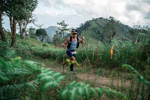 BIB: 
                            <button type="button" onclick="openModal(25264258)" class="btn btn-primary btn-sm float-right btn-popup" data-toggle="modal" data-target=".modal-high-quality">
                        <i class="fas fa-shopping-cart"></i> Add to Cart
                    </button>
                                            <button type="button" onclick="isThisMe(25264258, true)" class="btn btn-success btn-sm float-right btn-popup btn-isme hidden" data-toggle="tooltip" data-placement="bottom" title="นี่คือรูปของคุณใช่ไหม คลิกที่นี่เพื่อเอาเข้าอัลบั้ม">
                        <i class="fas fa-plus"></i> Add to album
                    </button>
                    <button type="button" onclick="isThisMe(25264258, false)" class="btn btn-warning btn-sm float-right btn-popup btn-isnotme hidden">
                        <i class="fas fa-ban"></i> Remove from album
                    </button>