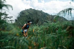 BIB: 
                            <button type="button" onclick="openModal(25273016)" class="btn btn-primary btn-sm float-right btn-popup" data-toggle="modal" data-target=".modal-high-quality">
                        <i class="fas fa-shopping-cart"></i> Add to Cart
                    </button>
                                            <button type="button" onclick="isThisMe(25273016, true)" class="btn btn-success btn-sm float-right btn-popup btn-isme hidden" data-toggle="tooltip" data-placement="bottom" title="นี่คือรูปของคุณใช่ไหม คลิกที่นี่เพื่อเอาเข้าอัลบั้ม">
                        <i class="fas fa-plus"></i> Add to album
                    </button>
                    <button type="button" onclick="isThisMe(25273016, false)" class="btn btn-warning btn-sm float-right btn-popup btn-isnotme hidden">
                        <i class="fas fa-ban"></i> Remove from album
                    </button>