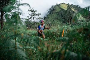 BIB: 
                            <button type="button" onclick="openModal(25273271)" class="btn btn-primary btn-sm float-right btn-popup" data-toggle="modal" data-target=".modal-high-quality">
                        <i class="fas fa-shopping-cart"></i> Add to Cart
                    </button>
                                            <button type="button" onclick="isThisMe(25273271, true)" class="btn btn-success btn-sm float-right btn-popup btn-isme hidden" data-toggle="tooltip" data-placement="bottom" title="นี่คือรูปของคุณใช่ไหม คลิกที่นี่เพื่อเอาเข้าอัลบั้ม">
                        <i class="fas fa-plus"></i> Add to album
                    </button>
                    <button type="button" onclick="isThisMe(25273271, false)" class="btn btn-warning btn-sm float-right btn-popup btn-isnotme hidden">
                        <i class="fas fa-ban"></i> Remove from album
                    </button>