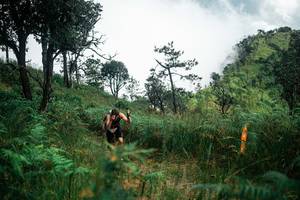 BIB: 
                            <button type="button" onclick="openModal(25277100)" class="btn btn-primary btn-sm float-right btn-popup" data-toggle="modal" data-target=".modal-high-quality">
                        <i class="fas fa-shopping-cart"></i> Add to Cart
                    </button>
                                            <button type="button" onclick="isThisMe(25277100, true)" class="btn btn-success btn-sm float-right btn-popup btn-isme hidden" data-toggle="tooltip" data-placement="bottom" title="นี่คือรูปของคุณใช่ไหม คลิกที่นี่เพื่อเอาเข้าอัลบั้ม">
                        <i class="fas fa-plus"></i> Add to album
                    </button>
                    <button type="button" onclick="isThisMe(25277100, false)" class="btn btn-warning btn-sm float-right btn-popup btn-isnotme hidden">
                        <i class="fas fa-ban"></i> Remove from album
                    </button>