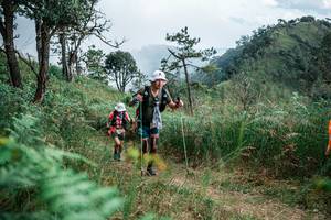 BIB: 
                            <button type="button" onclick="openModal(25264651)" class="btn btn-primary btn-sm float-right btn-popup" data-toggle="modal" data-target=".modal-high-quality">
                        <i class="fas fa-shopping-cart"></i> Add to Cart
                    </button>
                                            <button type="button" onclick="isThisMe(25264651, true)" class="btn btn-success btn-sm float-right btn-popup btn-isme hidden" data-toggle="tooltip" data-placement="bottom" title="นี่คือรูปของคุณใช่ไหม คลิกที่นี่เพื่อเอาเข้าอัลบั้ม">
                        <i class="fas fa-plus"></i> Add to album
                    </button>
                    <button type="button" onclick="isThisMe(25264651, false)" class="btn btn-warning btn-sm float-right btn-popup btn-isnotme hidden">
                        <i class="fas fa-ban"></i> Remove from album
                    </button>