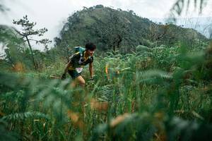 BIB: 
                            <button type="button" onclick="openModal(25271949)" class="btn btn-primary btn-sm float-right btn-popup" data-toggle="modal" data-target=".modal-high-quality">
                        <i class="fas fa-shopping-cart"></i> Add to Cart
                    </button>
                                            <button type="button" onclick="isThisMe(25271949, true)" class="btn btn-success btn-sm float-right btn-popup btn-isme hidden" data-toggle="tooltip" data-placement="bottom" title="นี่คือรูปของคุณใช่ไหม คลิกที่นี่เพื่อเอาเข้าอัลบั้ม">
                        <i class="fas fa-plus"></i> Add to album
                    </button>
                    <button type="button" onclick="isThisMe(25271949, false)" class="btn btn-warning btn-sm float-right btn-popup btn-isnotme hidden">
                        <i class="fas fa-ban"></i> Remove from album
                    </button>