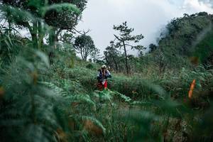 BIB: 
                            <button type="button" onclick="openModal(25277774)" class="btn btn-primary btn-sm float-right btn-popup" data-toggle="modal" data-target=".modal-high-quality">
                        <i class="fas fa-shopping-cart"></i> Add to Cart
                    </button>
                                            <button type="button" onclick="isThisMe(25277774, true)" class="btn btn-success btn-sm float-right btn-popup btn-isme hidden" data-toggle="tooltip" data-placement="bottom" title="นี่คือรูปของคุณใช่ไหม คลิกที่นี่เพื่อเอาเข้าอัลบั้ม">
                        <i class="fas fa-plus"></i> Add to album
                    </button>
                    <button type="button" onclick="isThisMe(25277774, false)" class="btn btn-warning btn-sm float-right btn-popup btn-isnotme hidden">
                        <i class="fas fa-ban"></i> Remove from album
                    </button>