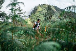 BIB: 
                            <button type="button" onclick="openModal(25272903)" class="btn btn-primary btn-sm float-right btn-popup" data-toggle="modal" data-target=".modal-high-quality">
                        <i class="fas fa-shopping-cart"></i> Add to Cart
                    </button>
                                            <button type="button" onclick="isThisMe(25272903, true)" class="btn btn-success btn-sm float-right btn-popup btn-isme hidden" data-toggle="tooltip" data-placement="bottom" title="นี่คือรูปของคุณใช่ไหม คลิกที่นี่เพื่อเอาเข้าอัลบั้ม">
                        <i class="fas fa-plus"></i> Add to album
                    </button>
                    <button type="button" onclick="isThisMe(25272903, false)" class="btn btn-warning btn-sm float-right btn-popup btn-isnotme hidden">
                        <i class="fas fa-ban"></i> Remove from album
                    </button>