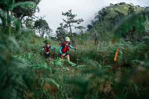 BIB: 
                            <button type="button" onclick="openModal(25273846)" class="btn btn-primary btn-sm float-right btn-popup" data-toggle="modal" data-target=".modal-high-quality">
                        <i class="fas fa-shopping-cart"></i> Add to Cart
                    </button>
                                            <button type="button" onclick="isThisMe(25273846, true)" class="btn btn-success btn-sm float-right btn-popup btn-isme hidden" data-toggle="tooltip" data-placement="bottom" title="นี่คือรูปของคุณใช่ไหม คลิกที่นี่เพื่อเอาเข้าอัลบั้ม">
                        <i class="fas fa-plus"></i> Add to album
                    </button>
                    <button type="button" onclick="isThisMe(25273846, false)" class="btn btn-warning btn-sm float-right btn-popup btn-isnotme hidden">
                        <i class="fas fa-ban"></i> Remove from album
                    </button>