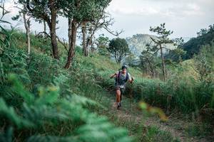 BIB: 
                            <button type="button" onclick="openModal(25264548)" class="btn btn-primary btn-sm float-right btn-popup" data-toggle="modal" data-target=".modal-high-quality">
                        <i class="fas fa-shopping-cart"></i> Add to Cart
                    </button>
                                            <button type="button" onclick="isThisMe(25264548, true)" class="btn btn-success btn-sm float-right btn-popup btn-isme hidden" data-toggle="tooltip" data-placement="bottom" title="นี่คือรูปของคุณใช่ไหม คลิกที่นี่เพื่อเอาเข้าอัลบั้ม">
                        <i class="fas fa-plus"></i> Add to album
                    </button>
                    <button type="button" onclick="isThisMe(25264548, false)" class="btn btn-warning btn-sm float-right btn-popup btn-isnotme hidden">
                        <i class="fas fa-ban"></i> Remove from album
                    </button>