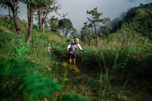 BIB: 
                            <button type="button" onclick="openModal(25273900)" class="btn btn-primary btn-sm float-right btn-popup" data-toggle="modal" data-target=".modal-high-quality">
                        <i class="fas fa-shopping-cart"></i> Add to Cart
                    </button>
                                            <button type="button" onclick="isThisMe(25273900, true)" class="btn btn-success btn-sm float-right btn-popup btn-isme hidden" data-toggle="tooltip" data-placement="bottom" title="นี่คือรูปของคุณใช่ไหม คลิกที่นี่เพื่อเอาเข้าอัลบั้ม">
                        <i class="fas fa-plus"></i> Add to album
                    </button>
                    <button type="button" onclick="isThisMe(25273900, false)" class="btn btn-warning btn-sm float-right btn-popup btn-isnotme hidden">
                        <i class="fas fa-ban"></i> Remove from album
                    </button>