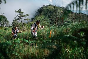 BIB: 
                            <button type="button" onclick="openModal(25272612)" class="btn btn-primary btn-sm float-right btn-popup" data-toggle="modal" data-target=".modal-high-quality">
                        <i class="fas fa-shopping-cart"></i> Add to Cart
                    </button>
                                            <button type="button" onclick="isThisMe(25272612, true)" class="btn btn-success btn-sm float-right btn-popup btn-isme hidden" data-toggle="tooltip" data-placement="bottom" title="นี่คือรูปของคุณใช่ไหม คลิกที่นี่เพื่อเอาเข้าอัลบั้ม">
                        <i class="fas fa-plus"></i> Add to album
                    </button>
                    <button type="button" onclick="isThisMe(25272612, false)" class="btn btn-warning btn-sm float-right btn-popup btn-isnotme hidden">
                        <i class="fas fa-ban"></i> Remove from album
                    </button>