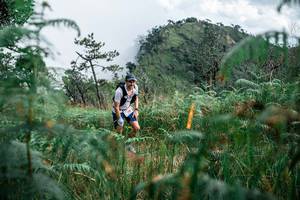 BIB: 
                            <button type="button" onclick="openModal(25276769)" class="btn btn-primary btn-sm float-right btn-popup" data-toggle="modal" data-target=".modal-high-quality">
                        <i class="fas fa-shopping-cart"></i> Add to Cart
                    </button>
                                            <button type="button" onclick="isThisMe(25276769, true)" class="btn btn-success btn-sm float-right btn-popup btn-isme hidden" data-toggle="tooltip" data-placement="bottom" title="นี่คือรูปของคุณใช่ไหม คลิกที่นี่เพื่อเอาเข้าอัลบั้ม">
                        <i class="fas fa-plus"></i> Add to album
                    </button>
                    <button type="button" onclick="isThisMe(25276769, false)" class="btn btn-warning btn-sm float-right btn-popup btn-isnotme hidden">
                        <i class="fas fa-ban"></i> Remove from album
                    </button>