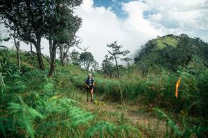 BIB: 
                            <button type="button" onclick="openModal(25268014)" class="btn btn-primary btn-sm float-right btn-popup" data-toggle="modal" data-target=".modal-high-quality">
                        <i class="fas fa-shopping-cart"></i> Add to Cart
                    </button>
                                            <button type="button" onclick="isThisMe(25268014, true)" class="btn btn-success btn-sm float-right btn-popup btn-isme hidden" data-toggle="tooltip" data-placement="bottom" title="นี่คือรูปของคุณใช่ไหม คลิกที่นี่เพื่อเอาเข้าอัลบั้ม">
                        <i class="fas fa-plus"></i> Add to album
                    </button>
                    <button type="button" onclick="isThisMe(25268014, false)" class="btn btn-warning btn-sm float-right btn-popup btn-isnotme hidden">
                        <i class="fas fa-ban"></i> Remove from album
                    </button>