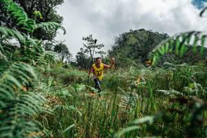 BIB: 
                            <button type="button" onclick="openModal(25278674)" class="btn btn-primary btn-sm float-right btn-popup" data-toggle="modal" data-target=".modal-high-quality">
                        <i class="fas fa-shopping-cart"></i> Add to Cart
                    </button>
                                            <button type="button" onclick="isThisMe(25278674, true)" class="btn btn-success btn-sm float-right btn-popup btn-isme hidden" data-toggle="tooltip" data-placement="bottom" title="นี่คือรูปของคุณใช่ไหม คลิกที่นี่เพื่อเอาเข้าอัลบั้ม">
                        <i class="fas fa-plus"></i> Add to album
                    </button>
                    <button type="button" onclick="isThisMe(25278674, false)" class="btn btn-warning btn-sm float-right btn-popup btn-isnotme hidden">
                        <i class="fas fa-ban"></i> Remove from album
                    </button>