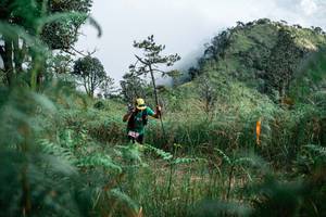 BIB: 
                            <button type="button" onclick="openModal(25272508)" class="btn btn-primary btn-sm float-right btn-popup" data-toggle="modal" data-target=".modal-high-quality">
                        <i class="fas fa-shopping-cart"></i> Add to Cart
                    </button>
                                            <button type="button" onclick="isThisMe(25272508, true)" class="btn btn-success btn-sm float-right btn-popup btn-isme hidden" data-toggle="tooltip" data-placement="bottom" title="นี่คือรูปของคุณใช่ไหม คลิกที่นี่เพื่อเอาเข้าอัลบั้ม">
                        <i class="fas fa-plus"></i> Add to album
                    </button>
                    <button type="button" onclick="isThisMe(25272508, false)" class="btn btn-warning btn-sm float-right btn-popup btn-isnotme hidden">
                        <i class="fas fa-ban"></i> Remove from album
                    </button>