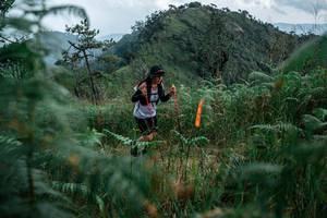 BIB: 
                            <button type="button" onclick="openModal(25265321)" class="btn btn-primary btn-sm float-right btn-popup" data-toggle="modal" data-target=".modal-high-quality">
                        <i class="fas fa-shopping-cart"></i> Add to Cart
                    </button>
                                            <button type="button" onclick="isThisMe(25265321, true)" class="btn btn-success btn-sm float-right btn-popup btn-isme hidden" data-toggle="tooltip" data-placement="bottom" title="นี่คือรูปของคุณใช่ไหม คลิกที่นี่เพื่อเอาเข้าอัลบั้ม">
                        <i class="fas fa-plus"></i> Add to album
                    </button>
                    <button type="button" onclick="isThisMe(25265321, false)" class="btn btn-warning btn-sm float-right btn-popup btn-isnotme hidden">
                        <i class="fas fa-ban"></i> Remove from album
                    </button>