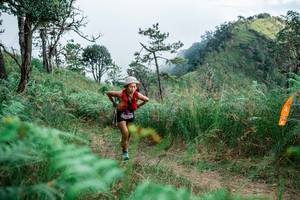 BIB: 
                            <button type="button" onclick="openModal(25277174)" class="btn btn-primary btn-sm float-right btn-popup" data-toggle="modal" data-target=".modal-high-quality">
                        <i class="fas fa-shopping-cart"></i> Add to Cart
                    </button>
                                            <button type="button" onclick="isThisMe(25277174, true)" class="btn btn-success btn-sm float-right btn-popup btn-isme hidden" data-toggle="tooltip" data-placement="bottom" title="นี่คือรูปของคุณใช่ไหม คลิกที่นี่เพื่อเอาเข้าอัลบั้ม">
                        <i class="fas fa-plus"></i> Add to album
                    </button>
                    <button type="button" onclick="isThisMe(25277174, false)" class="btn btn-warning btn-sm float-right btn-popup btn-isnotme hidden">
                        <i class="fas fa-ban"></i> Remove from album
                    </button>