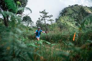 BIB: 
                            <button type="button" onclick="openModal(25275611)" class="btn btn-primary btn-sm float-right btn-popup" data-toggle="modal" data-target=".modal-high-quality">
                        <i class="fas fa-shopping-cart"></i> Add to Cart
                    </button>
                                            <button type="button" onclick="isThisMe(25275611, true)" class="btn btn-success btn-sm float-right btn-popup btn-isme hidden" data-toggle="tooltip" data-placement="bottom" title="นี่คือรูปของคุณใช่ไหม คลิกที่นี่เพื่อเอาเข้าอัลบั้ม">
                        <i class="fas fa-plus"></i> Add to album
                    </button>
                    <button type="button" onclick="isThisMe(25275611, false)" class="btn btn-warning btn-sm float-right btn-popup btn-isnotme hidden">
                        <i class="fas fa-ban"></i> Remove from album
                    </button>