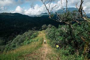 BIB: 
                            <button type="button" onclick="openModal(25278633)" class="btn btn-primary btn-sm float-right btn-popup" data-toggle="modal" data-target=".modal-high-quality">
                        <i class="fas fa-shopping-cart"></i> Add to Cart
                    </button>
                                            <button type="button" onclick="isThisMe(25278633, true)" class="btn btn-success btn-sm float-right btn-popup btn-isme hidden" data-toggle="tooltip" data-placement="bottom" title="นี่คือรูปของคุณใช่ไหม คลิกที่นี่เพื่อเอาเข้าอัลบั้ม">
                        <i class="fas fa-plus"></i> Add to album
                    </button>
                    <button type="button" onclick="isThisMe(25278633, false)" class="btn btn-warning btn-sm float-right btn-popup btn-isnotme hidden">
                        <i class="fas fa-ban"></i> Remove from album
                    </button>