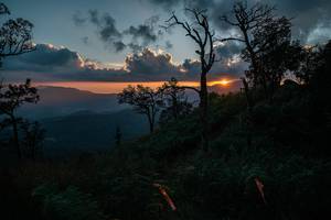 BIB: 
                            <button type="button" onclick="openModal(25264091)" class="btn btn-primary btn-sm float-right btn-popup" data-toggle="modal" data-target=".modal-high-quality">
                        <i class="fas fa-shopping-cart"></i> Add to Cart
                    </button>
                                            <button type="button" onclick="isThisMe(25264091, true)" class="btn btn-success btn-sm float-right btn-popup btn-isme hidden" data-toggle="tooltip" data-placement="bottom" title="นี่คือรูปของคุณใช่ไหม คลิกที่นี่เพื่อเอาเข้าอัลบั้ม">
                        <i class="fas fa-plus"></i> Add to album
                    </button>
                    <button type="button" onclick="isThisMe(25264091, false)" class="btn btn-warning btn-sm float-right btn-popup btn-isnotme hidden">
                        <i class="fas fa-ban"></i> Remove from album
                    </button>