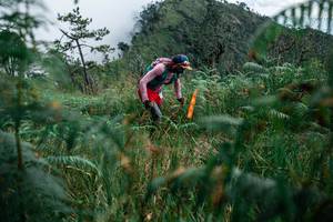 BIB: 
                            <button type="button" onclick="openModal(25276950)" class="btn btn-primary btn-sm float-right btn-popup" data-toggle="modal" data-target=".modal-high-quality">
                        <i class="fas fa-shopping-cart"></i> Add to Cart
                    </button>
                                            <button type="button" onclick="isThisMe(25276950, true)" class="btn btn-success btn-sm float-right btn-popup btn-isme hidden" data-toggle="tooltip" data-placement="bottom" title="นี่คือรูปของคุณใช่ไหม คลิกที่นี่เพื่อเอาเข้าอัลบั้ม">
                        <i class="fas fa-plus"></i> Add to album
                    </button>
                    <button type="button" onclick="isThisMe(25276950, false)" class="btn btn-warning btn-sm float-right btn-popup btn-isnotme hidden">
                        <i class="fas fa-ban"></i> Remove from album
                    </button>